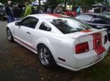 Mustang &Shelby Birfelld 2011 (Switzerland)