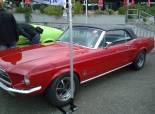  Mustang & Shelby Birfelld 2011 (Switzerland).  2.časť