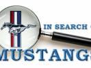In search of Mustangs