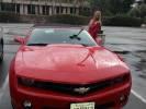 These cars *.*