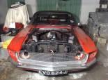 Mustang 69