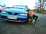 Mustang 94 3.8, V6 ( splnený sen ) 