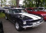 Mustang &Shelby Birfelld 2011 (Switzerland)