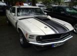 Mustang &Shelby Birfelld 2011 (Switzerland)