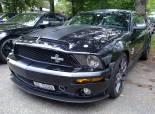 Mustang &Shelby Birfelld 2011 (Switzerland)