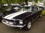 Mustang &Shelby Birfelld 2011 (Switzerland)