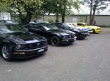 Mustang &Shelby Birfelld 2011 (Switzerland)