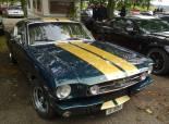 Mustang &Shelby Birfelld 2011 (Switzerland)
