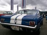  Mustang & Shelby Birfelld 2011 (Switzerland). 4.časť