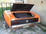 Mustangril
