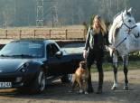 These cars *.*