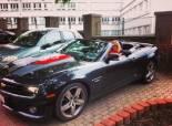 These cars *.*